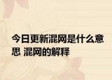 今日更新混網(wǎng)是什么意思 混網(wǎng)的解釋