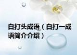 白打頭成語（白打一成語簡介介紹）