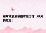 鑲片式滴灌帶出水量怎樣（鑲片的意思）