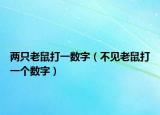兩只老鼠打一數(shù)字（不見(jiàn)老鼠打一個(gè)數(shù)字）