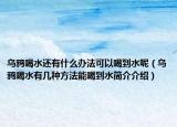 烏鴉喝水還有什么辦法可以喝到水呢（烏鴉喝水有幾種方法能喝到水簡(jiǎn)介介紹）