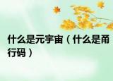 什么是元宇宙（什么是甬行碼）
