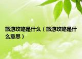 旅游攻略是什么（旅游攻略是什么意思）