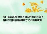 當(dāng)日最新消息 很多人到農(nóng)村收購老房子背后有何目的4種賺錢方式必須要謹慎