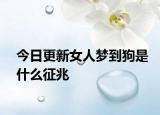 今日更新女人夢到狗是什么征兆