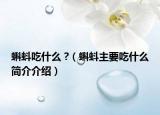 蝌蚪吃什么 ?（蝌蚪主要吃什么簡介介紹）
