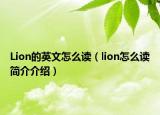 Lion的英文怎么讀（lion怎么讀簡介介紹）