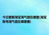 今日更新淘寶淘氣值在哪里(淘寶賬號淘氣值在哪里看)