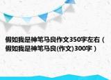 假如我是神筆馬良作文350字左右（假如我是神筆馬良(作文)300字）