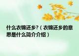 什么衣錦還鄉(xiāng)?（衣錦還鄉(xiāng)的意思是什么簡(jiǎn)介介紹）