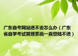 廣東自考網(wǎng)站進不去怎么辦（廣東省自學(xué)考試管理系統(tǒng)一直登陸不進）
