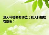 景天科植物有哪些（景天科植物有哪些）