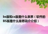 bs版和cs版是什么意思（軟件的BS版是什么意思簡介介紹）