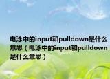 電泳中的input和pulldown是什么意思（電泳中的input和pulldown是什么意思）