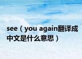 see（you again翻譯成中文是什么意思）