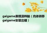 galgame瀛樻澶辮觸（肉體轉(zhuǎn)移galgame安裝出錯）