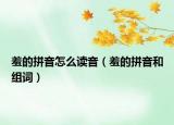 羞的拼音怎么讀音（羞的拼音和組詞）