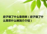 房子塌了什么意思啊（房子塌了什么意思什么梗簡介介紹）