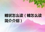 鰭狀怎么讀（鰭怎么讀簡介介紹）