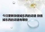 今日更新微信掉東西的詞語(yǔ) 微信掉東西的詞語(yǔ)有哪些