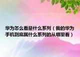 華為怎么看是什么系列（我的華為手機(jī)到底屬什么系列的從哪里看）