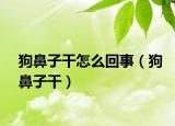 狗鼻子干怎么回事（狗鼻子干）