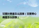 甘蔗葉黃是怎么回事（甘蔗黃心病是怎么回事）