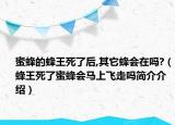 蜜蜂的蜂王死了后,其它蜂會在嗎?（蜂王死了蜜蜂會馬上飛走嗎簡介介紹）