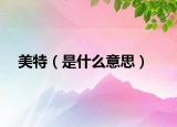 美特（是什么意思）