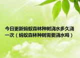 今日更新螞蟻森林種樹澆水多久澆一次（螞蟻森林種樹需要澆水嗎）