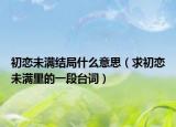 初戀未滿結(jié)局什么意思（求初戀未滿里的一段臺(tái)詞）