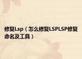 修復(fù)Lsp（怎么修復(fù)LSPLSP修復(fù)命名及工具）