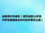 仙桃高中生被殺（湖北仙桃14歲高中學(xué)生跳樓自殺你對(duì)這件事怎么看）