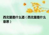 西北望是什么酒（西北望是什么意思）