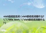 visit動詞變名詞（visit的動名詞是什么?
