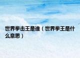 世界拳擊王是誰（世界拳王是什么意思）