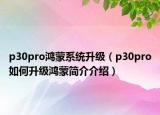 p30pro鴻蒙系統(tǒng)升級(jí)（p30pro如何升級(jí)鴻蒙簡介介紹）