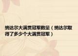 納達(dá)爾大滿貫冠軍數(shù)量（納達(dá)爾取得了多少個大滿貫冠軍）