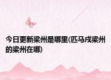 今日更新梁州是哪里(匹馬戍梁州的梁州在哪)