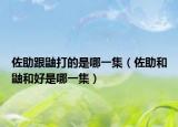 佐助跟鼬打的是哪一集（佐助和鼬和好是哪一集）