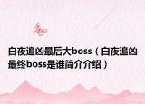 白夜追兇最后大boss（白夜追兇最終boss是誰簡介介紹）