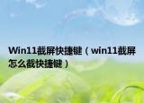 Win11截屏快捷鍵（win11截屏怎么截快捷鍵）