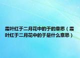 霜葉紅于二月花中的于的意思（霜葉紅于二月花中的于是什么意思）