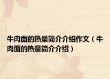 牛肉面的熱量簡介介紹作文（牛肉面的熱量簡介介紹）