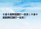 十全十美醉藍(lán)顏打一生肖（十全十美的醉紅顏打一生肖）
