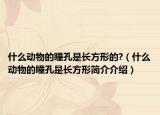 什么動物的瞳孔是長方形的?（什么動物的瞳孔是長方形簡介介紹）