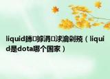 liquid鏄摢涓浗瀹剁殑（liquid是dota哪個國家）