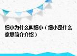 細(xì)小為什么叫細(xì)?。?xì)小是什么意思簡介介紹）