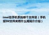 imei在手機(jī)系統(tǒng)哪個(gè)文件里（手機(jī)里IM文件夾有什么用簡(jiǎn)介介紹）