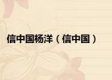 信中國楊洋（信中國）